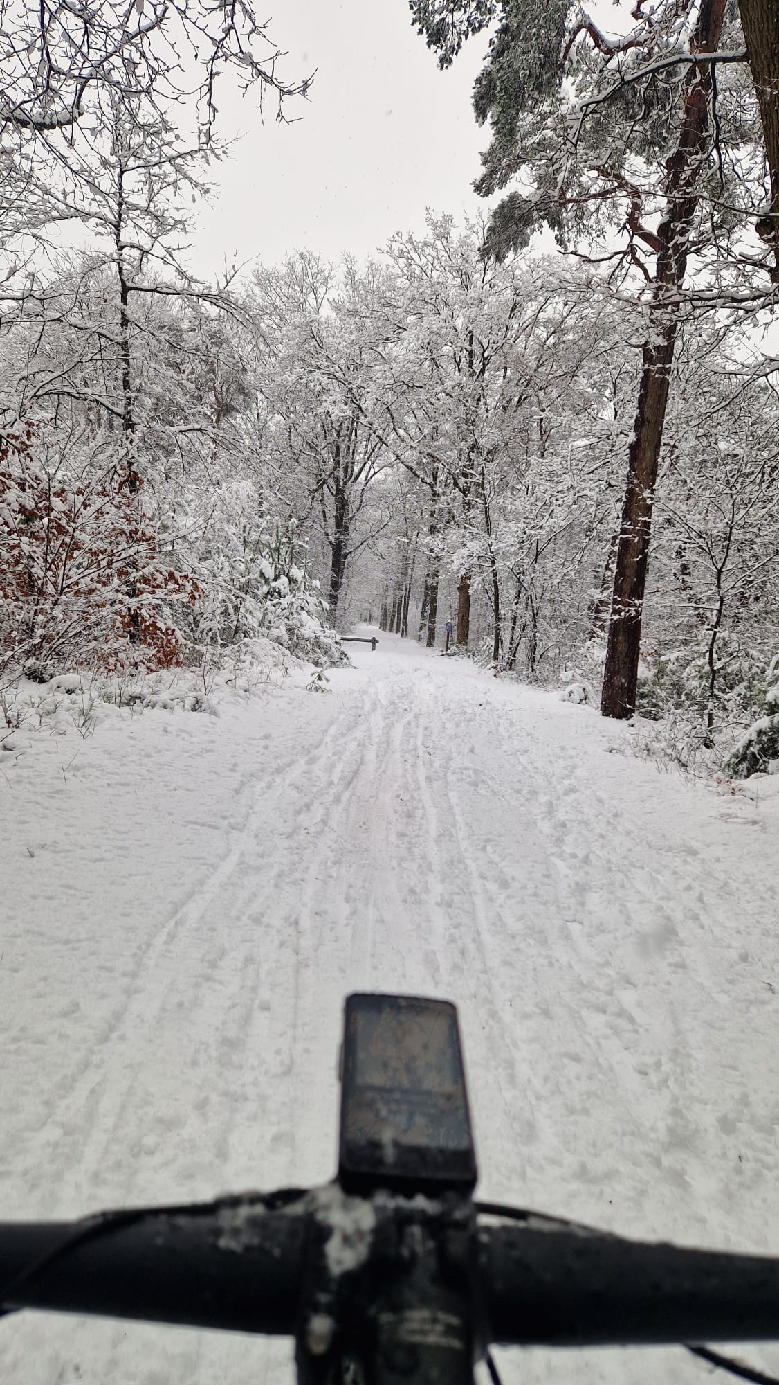 Winterpret met de Canyon Exceed CF6